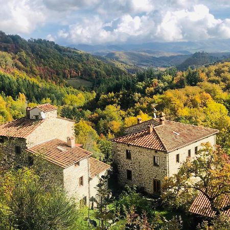 Bio Agriturismo Il Vigno Caprese Michelangelo Luaran gambar