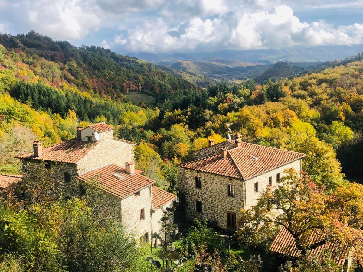 Bio Agriturismo Il Vigno Caprese Michelangelo Luaran gambar