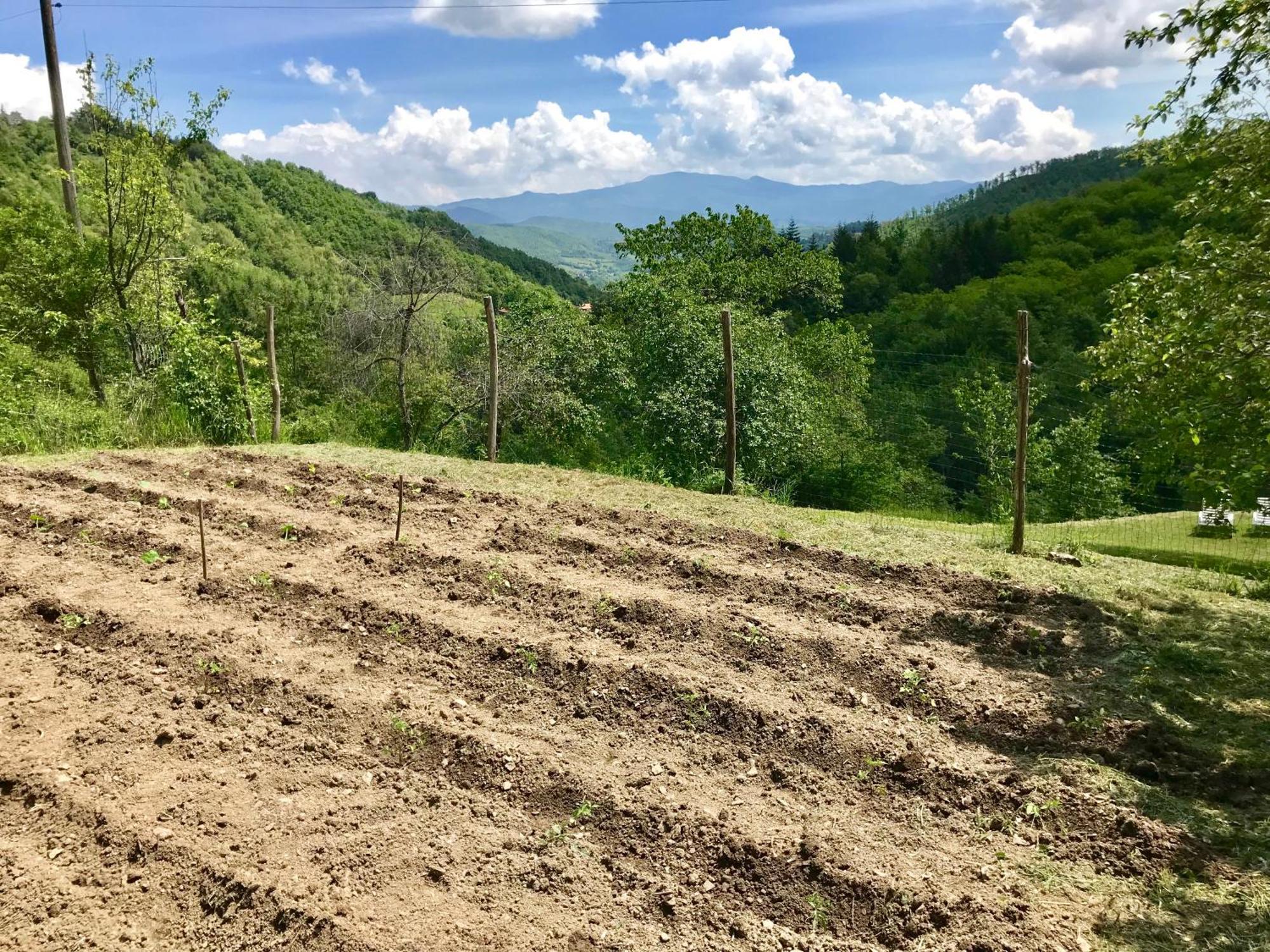Bio Agriturismo Il Vigno Caprese Michelangelo Luaran gambar