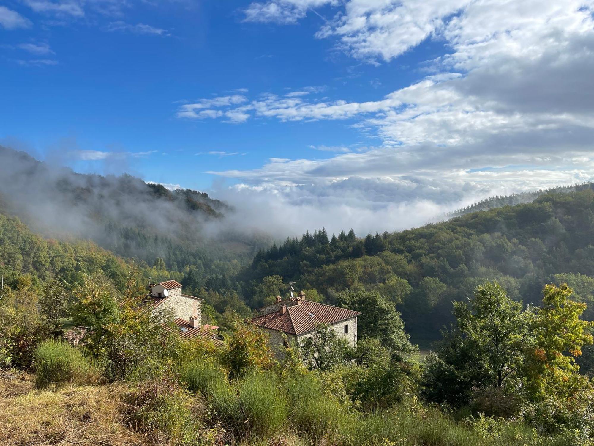 Bio Agriturismo Il Vigno Caprese Michelangelo Luaran gambar