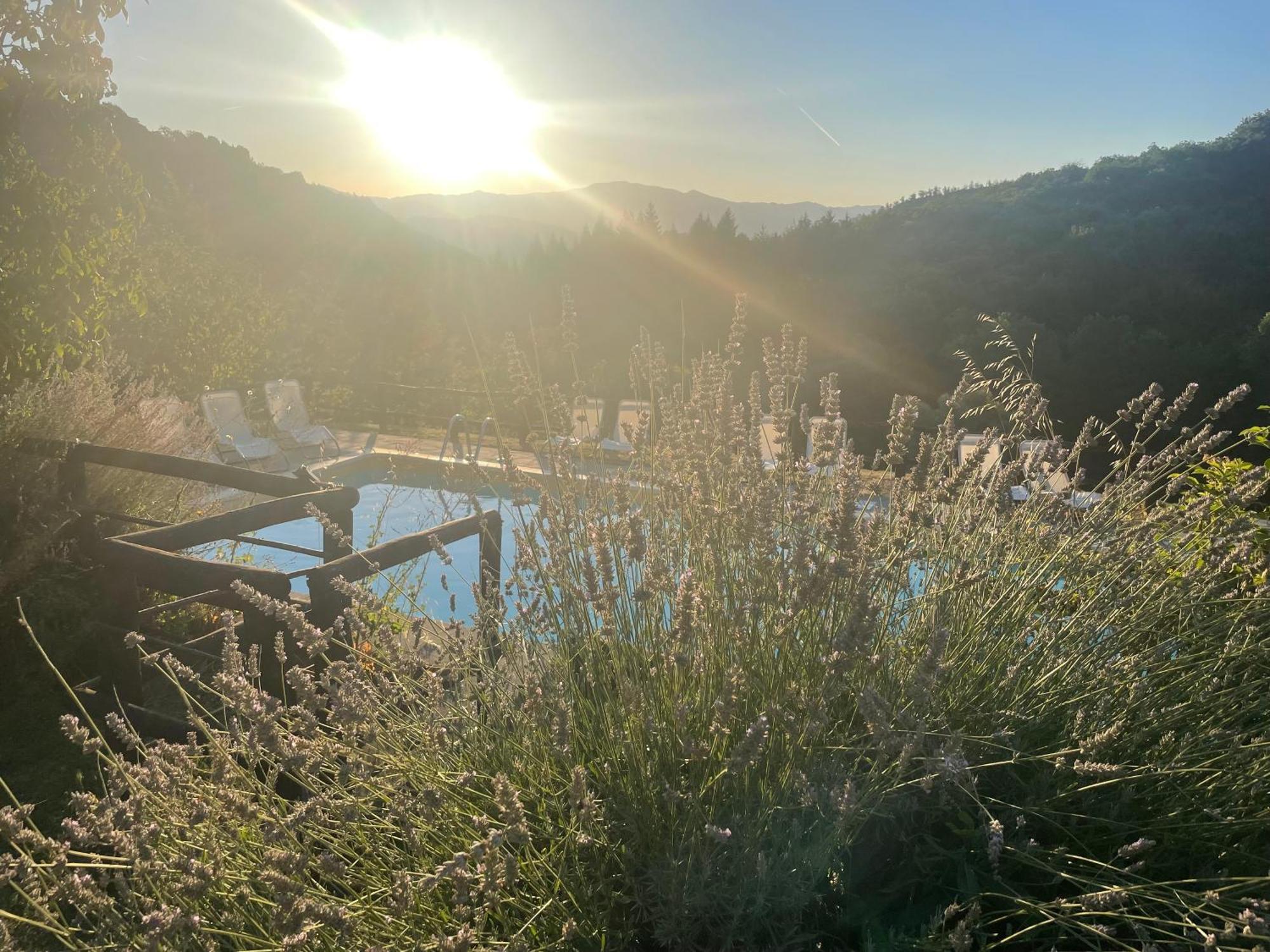 Bio Agriturismo Il Vigno Caprese Michelangelo Luaran gambar