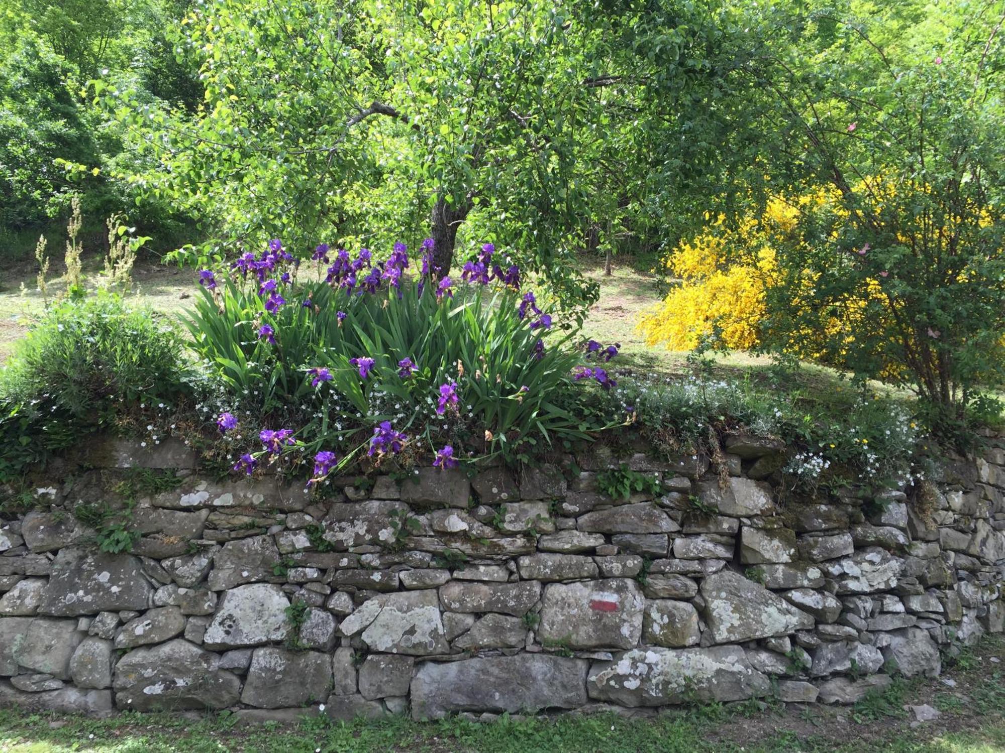 Bio Agriturismo Il Vigno Caprese Michelangelo Luaran gambar