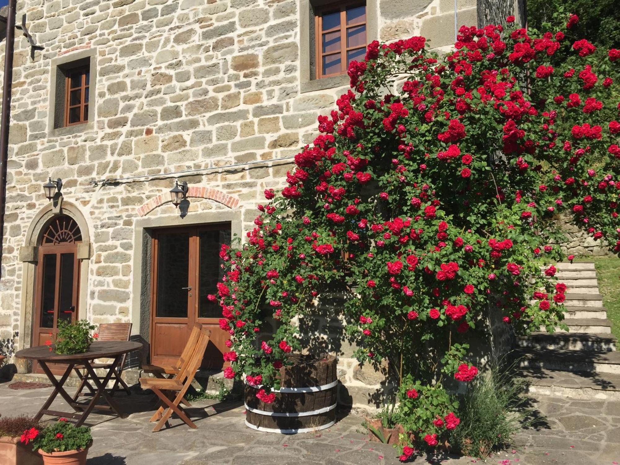 Bio Agriturismo Il Vigno Caprese Michelangelo Luaran gambar
