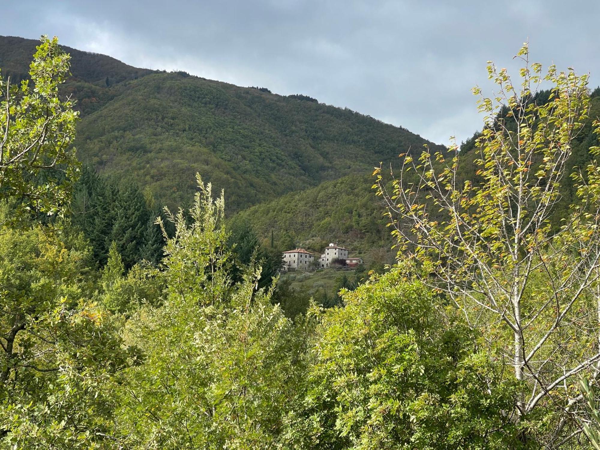 Bio Agriturismo Il Vigno Caprese Michelangelo Luaran gambar