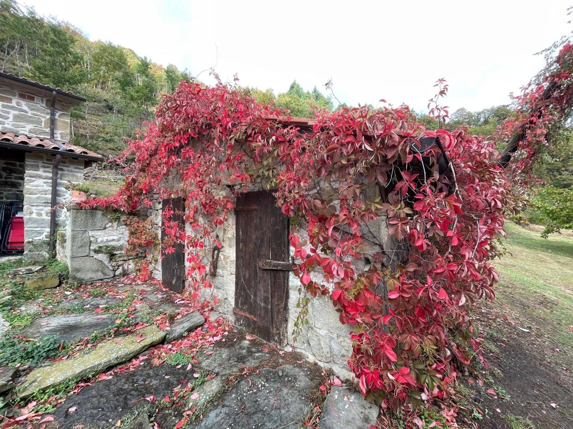 Bio Agriturismo Il Vigno Caprese Michelangelo Luaran gambar